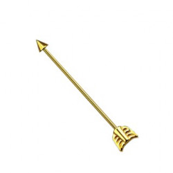 Piercing industriel flèche doré 38mm Pafix Piercing oreille5,90 €