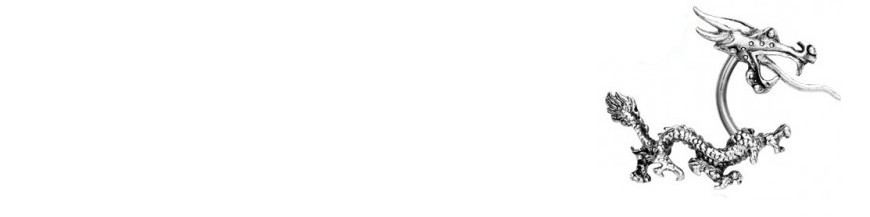 faux piercing aimanté